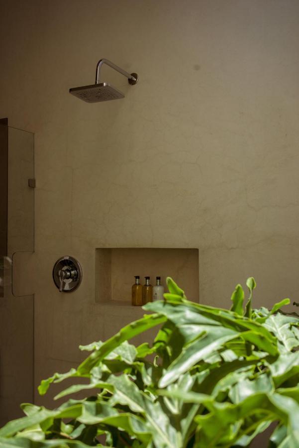 Casa Carmen Morelos Oaxaca Extérieur photo